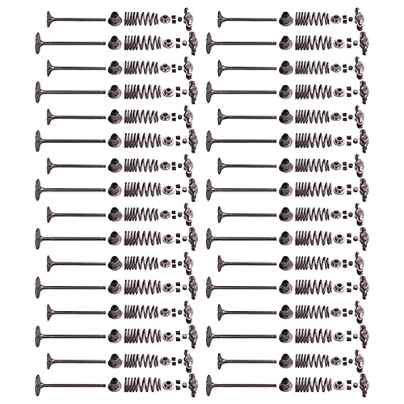 Ford Cobra Jet Valve Train Kit - Ford Racing - Cobra Jet 5.2L Titanium - 2018